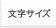 文字サイズ
