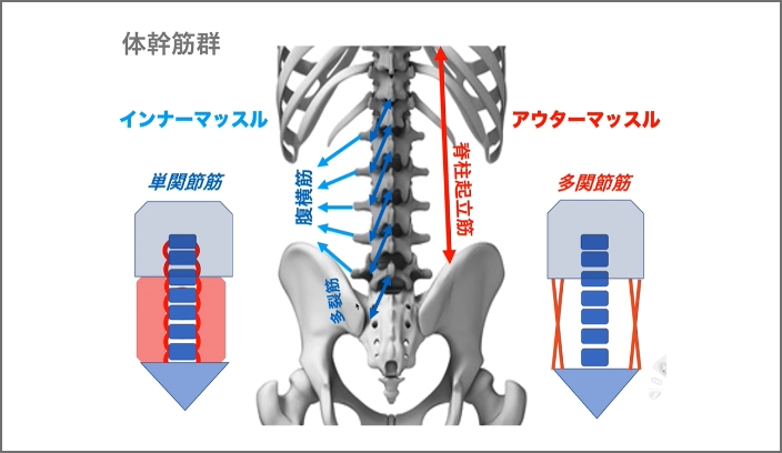 モーターコントロール機能に関する講演