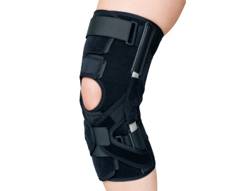 エクスエイド ニーacl 日本シグマックス整形外科領域 総合情報サイト Sigmax Medical