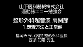 1.肩関節 走査方法と正常像