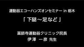 5.下腿～足など